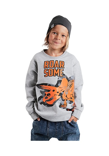 Denokids Roar Erkek Çocuk Sweatshirt - Gri
