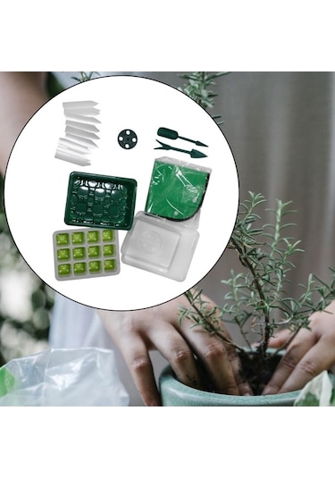 Trendooze Bitki Başlangıç Tepsisi Kalın Yeniden, Süper Kalın Tabanlı, Bitkiler İçin İdeal, Şık Ve Dayanıklı