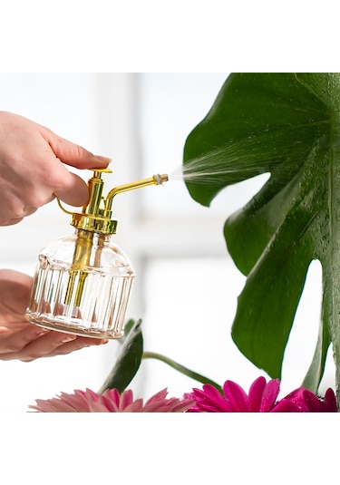 Perotti Vintage Cam Bitki Sulama Şişesi 250 ML Pembe