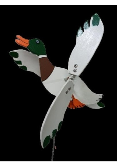 erkek ve dişi tahta ördek