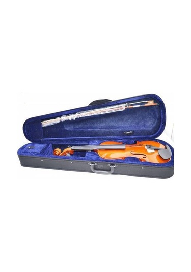 Pagannini Vg001L-4/4-G Öğrenci Keman Parlak 4/4