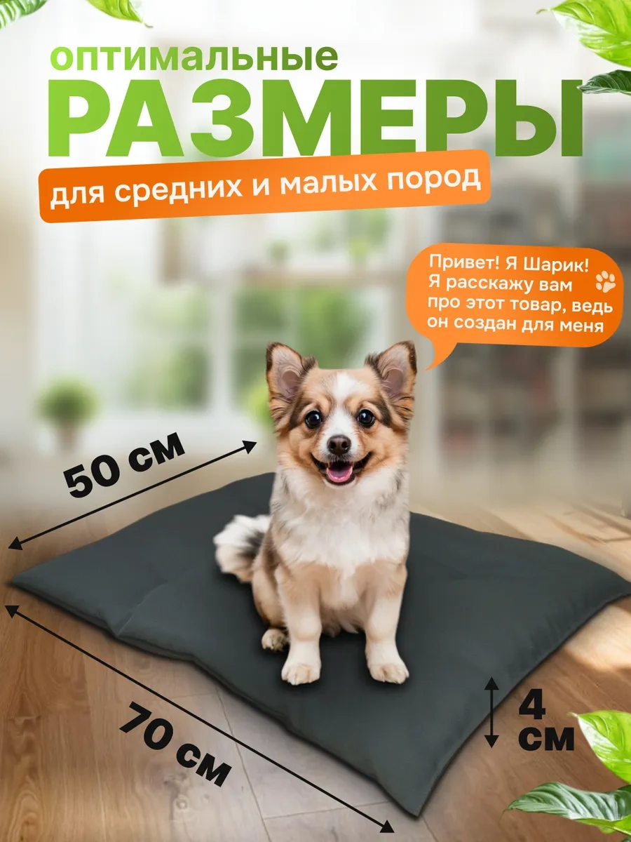 Gurenkot Köpek Yatağı 245497195