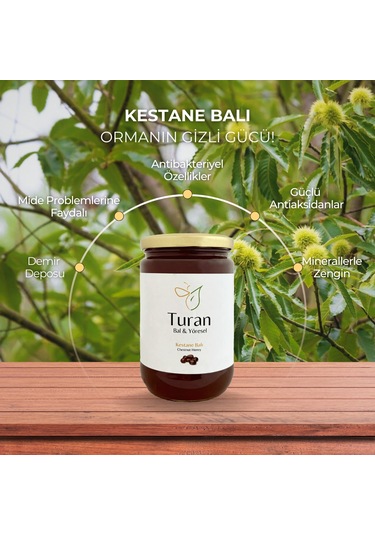 Turan Bal ve Yöresel Kestane Balı 850 G