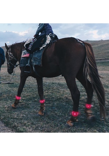 Homyl Açık At Binme Koşu Için Led Ayak Bileği Kırmızı Kırmızı