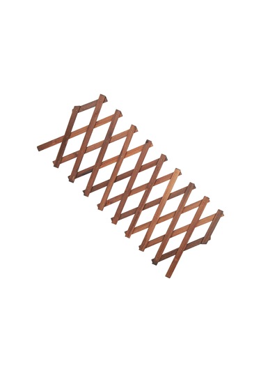 Fosenze Ağaçlı Genişletilebilir Bitki Tırmanma Kafesi - Bahçe İçin Gelişim Desteği Ve Gölgeleme Paneli