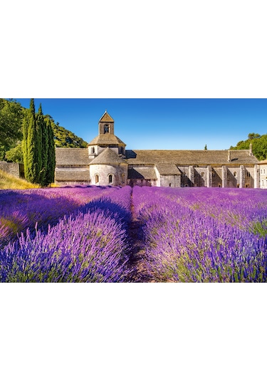 Castorland 1000 Parça Puzzle Lavender Field İn Provence