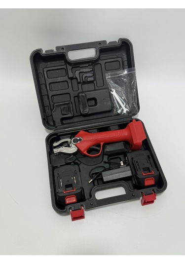 Akülü Küpe Takma Pensi