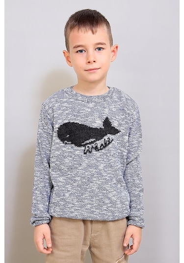 Alexandergardı Çocuk Desenli Triko Kazak C19-ag50384 Gri