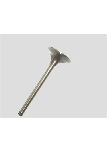 SÜPSAN TV-40537-40538 SÜPSAN SUBAP TAKIMI LAGUNA 2.0 8V F3R