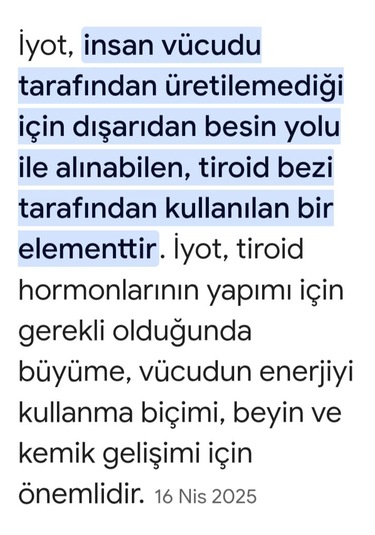 Natur'el İyot Damlası 100 ML