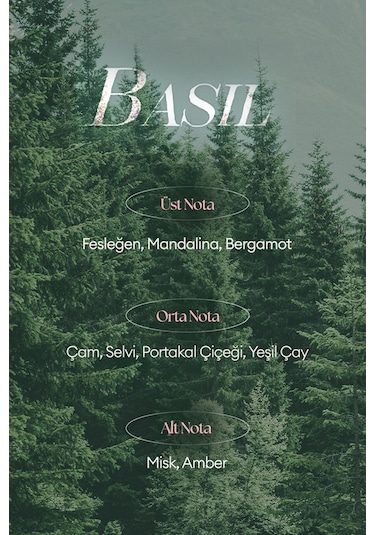 Missha A'pıeu Juicy Pang Perfume Hand Cream Basil