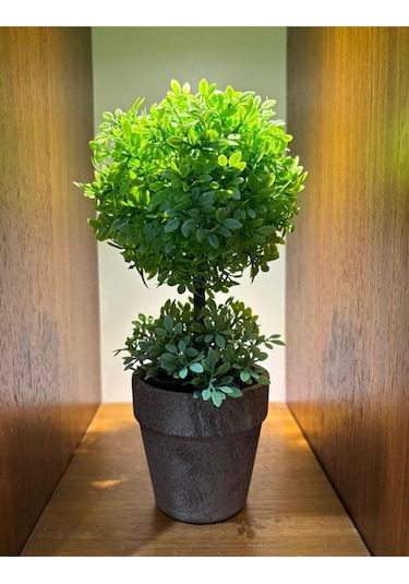 Zümrüt Yeşili İkili Topiary Aranjman 24 Cm X 10 Cm Yeşil