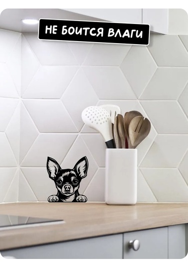 Stadi Dikkat Eden Köpek Etiketi 201967031 Siyah