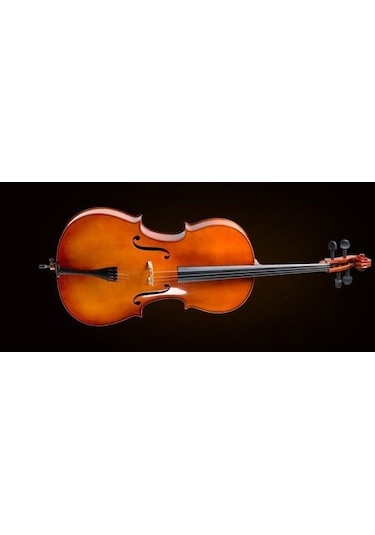 Valencia Ce400f12 Cello Kılıflı yay reçine. 1/2 Scale. French St