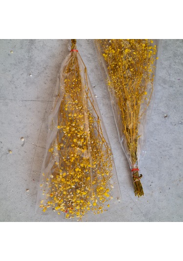 Konak Züccaciye Şoklanmış Doğal Cipso Bağı Sarı