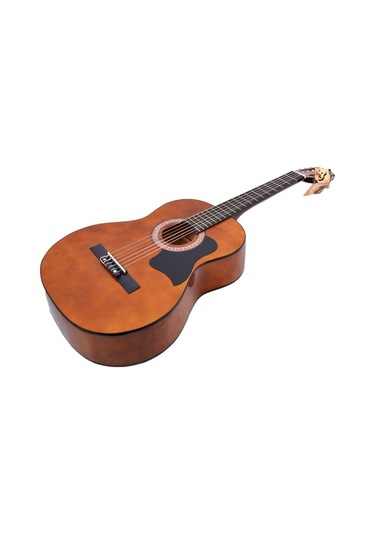 Gitar Pena Korumalığı Pg165bk Pick Guard