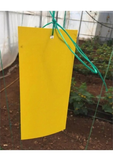 Grow Wizard Sarı Yapışkan Tuzak 10'lu Paket 10