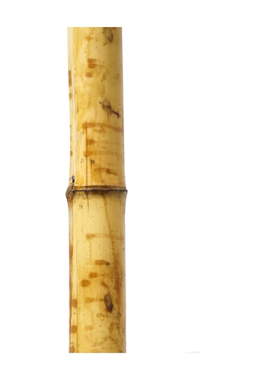 Dekoratif Bambu L