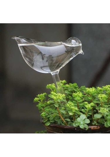 Pazly Evde Otomatik Cam Kuş Sulama Makinesi - Kullanışlı Ve Dayanıklı Bitki Sulayıcı