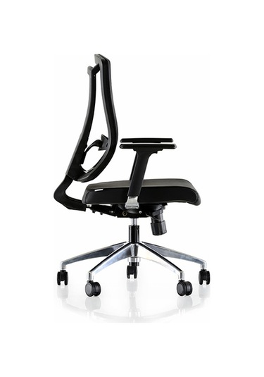 Dekofis Goldsit Ergonomik Çalışma Koltuğu