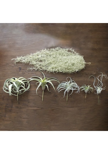 Qingmipy 3 Plastik Simülasyon Ananas Otu Yapay Bitki - Ev Ofis Düğün Dekorasyonu Masaüstü Saksı Bitkisi Yeşil