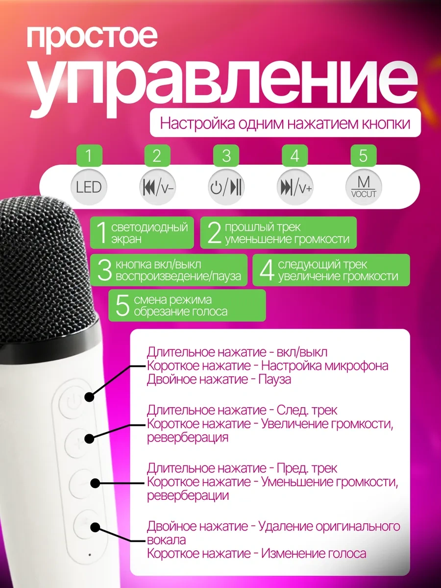 Sparktech İki Mikrofonlu Karaoke Sistemi 470728854