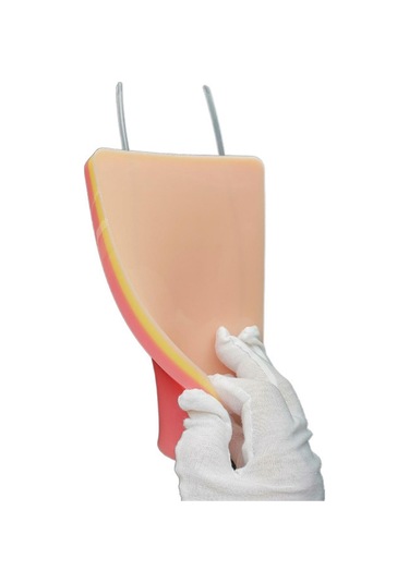 Suntek Hemşire Eğitim Malzemesi Aracı Için Yeniden