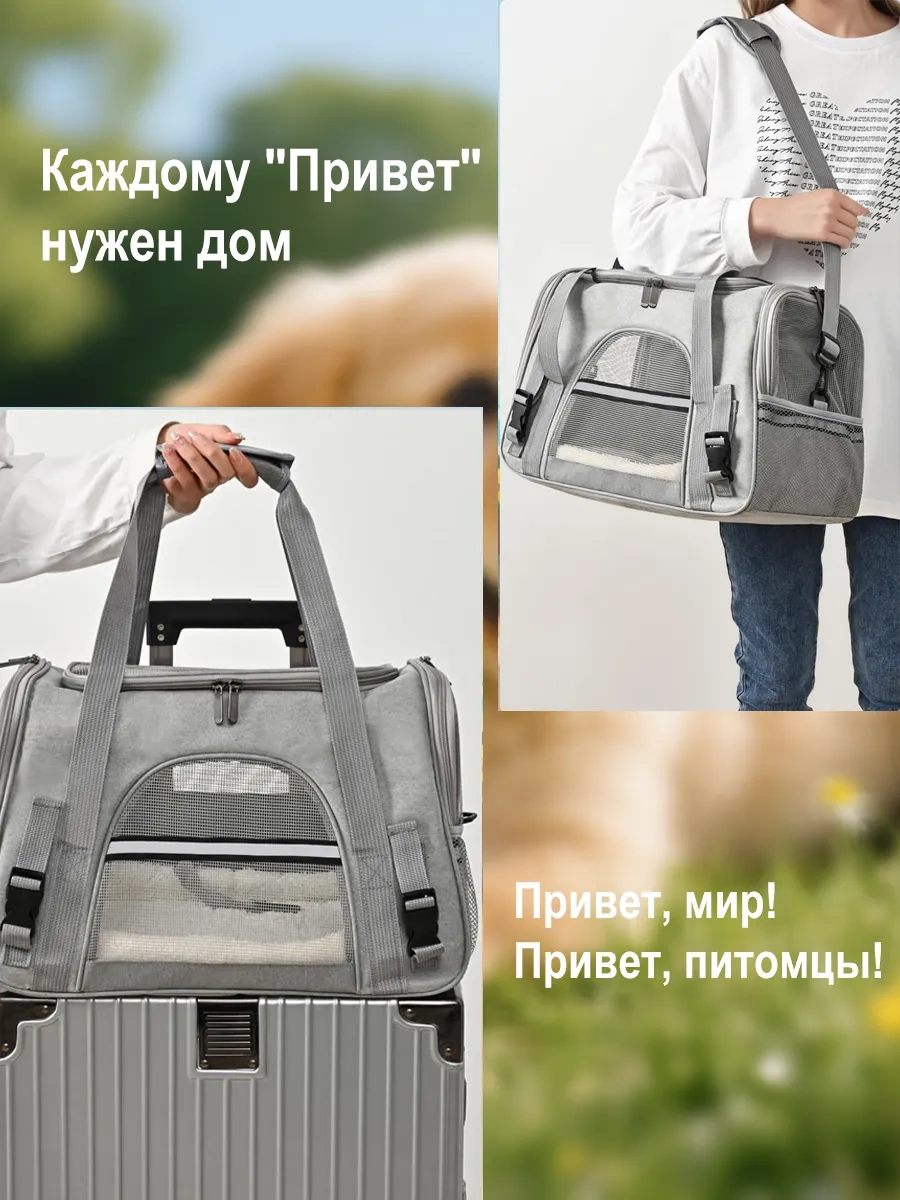 Xınest Kedi Ve Köpekler İçin Taşıma Çantası 483863687