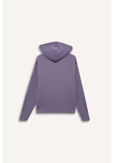 DeFactoFit Standart Fit Kapüşonlu Skuba Dalgıç Kumaş Sporcu Basic Düz Sweatshirt A5626AX25SPPR505