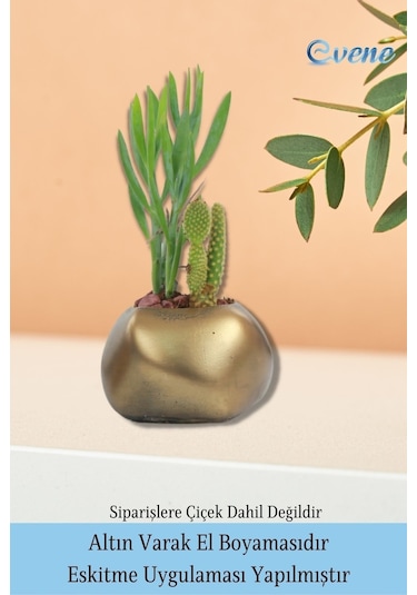 Saksı Çiçek Kaktüs Saksısı Lüx 14 Cm Elips Desen Saksı Çiçeklik - Altın Eskitme