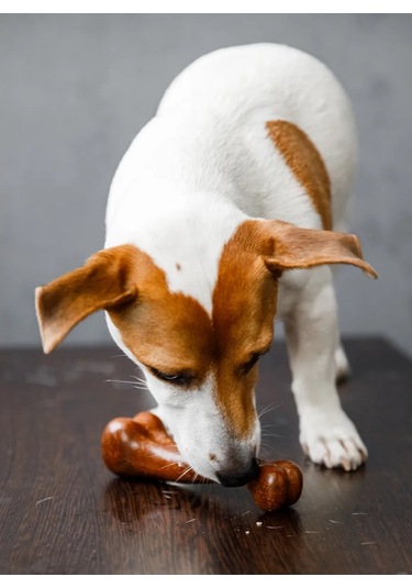 S.dream Köpekler İçin Dayanıklı Kemik Oyuncak 177312362