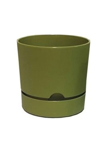 Polıwork Saksı Begonya 18 Cm Yosun Yeşili