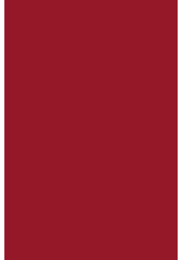 Flormar Ruj - Hd Weightless Matte Lipstick 008 Red Velvet 8690604518630 33000036
