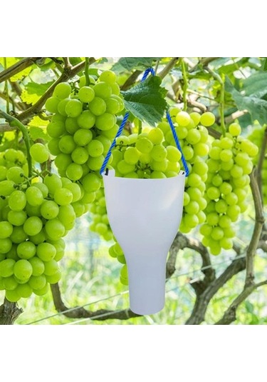 Pazly Yetiştirme Üzüm Suntek S Meyve Kabı Islatma Bakımı Jw