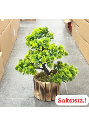 Konak Züccaciye Bonzai Kestane Ağaç Orta 38 Cm