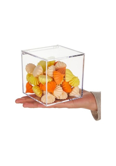 Şeffaf Akrilik Kutular Kapaklı Küçük Kare Küp Kaplar Plastik Saklama Düzenleyici Şeffaf