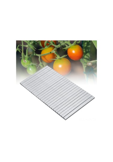 Kosona Bahçe Bitkileri Dal Bağlama İçin 10000 Adet Dayanıklı Çelik Çivi, Verimlilik Artırıcı, Domates-biber-üzüm Uygun