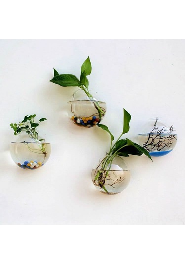 Shineyee Yarı Dairesi Cam Duvar Süsü - Su Bitkileri İçin Isı Dayanıklı Borosilikat Vitrin Süs Vazo