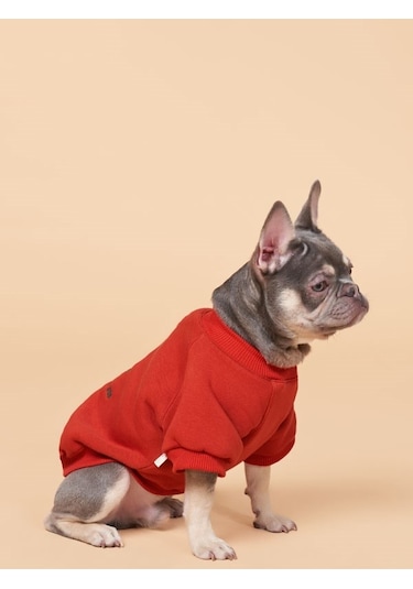 Cacti Küçük ve Orta Irk Köpekler İçin Köpek Sweatshirt