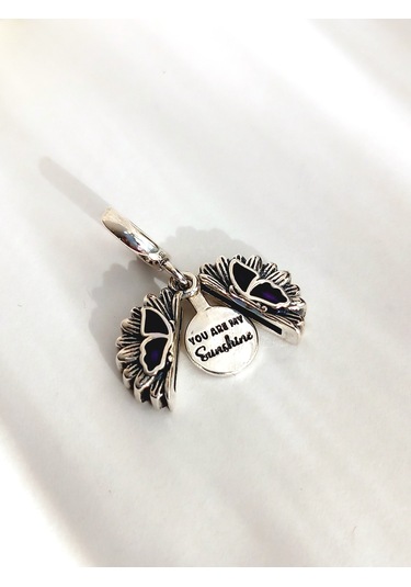 Gümüş You Are My Sun Shıne Pan Tasarım Bileklik Uyumlu Charm 1