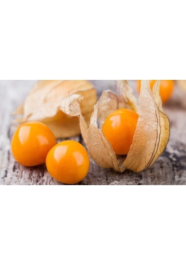 Süper Paket Altın Çilek Tohumu Kaz Üzümü Yer Çileği Tohumu 65 Adet Tohum