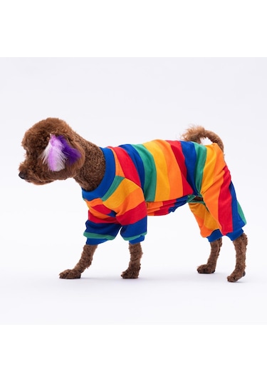 Ruby Gökkuşağı Penye Tulum Kedi Köpek Tulumu Kedi Köpek Kıyafeti Köpek Pijaması