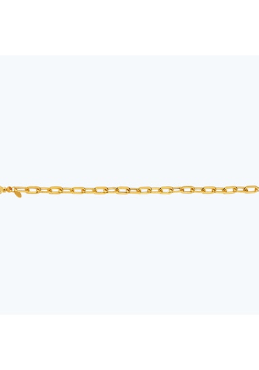 Altınbaş 22 Ayar Altın Zincir Bileklik Bbl0031-25924 Çok Renkli