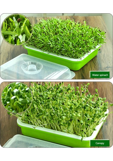 Jeehugo Ev Bahçesi İçin Isı Sağlayan Yemek Kalitesi Pp Fide Tepsisi, Kök Mantarlaşmasını Engelle, Hava Dolaşımı Sağlar, Kapaklı Sebze Yetiştirme Seti