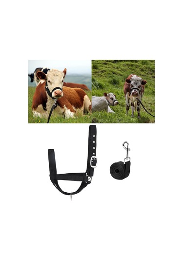 Homyl Bull Bridle Head Harness Supply Naylon İnek Yular M Siyah