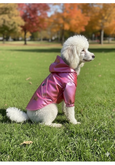 Kedi - Köpek Kıyafeti Kapşonlu Kırmızı Yağmurluk & Mont