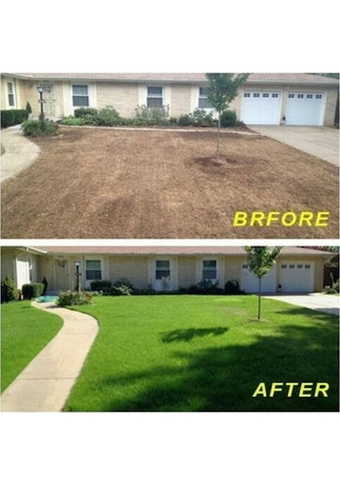 Pazly Tohumu Saman Piknik Matı Matı Gübre Dikim Çim Çim Büyütme Bahçe Bahçe Arka Va