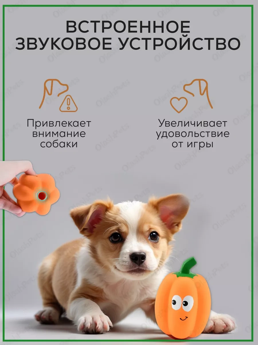 Olash Pets Yerden Çıkan Köpek Oyuncağı Latıksından 191091188