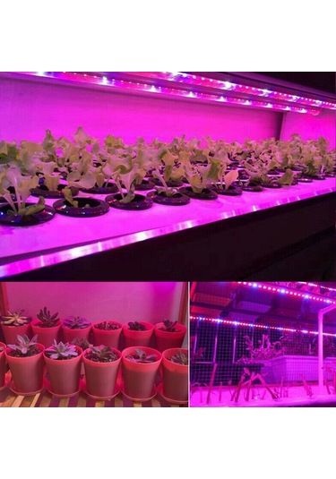 Moly 5m 5050 Smd Bitki Büyüme Işık Şeridi - 60 Led/m - Kırmızı-mavi Ip20 Dc12v Sera/hidroponik Diğer