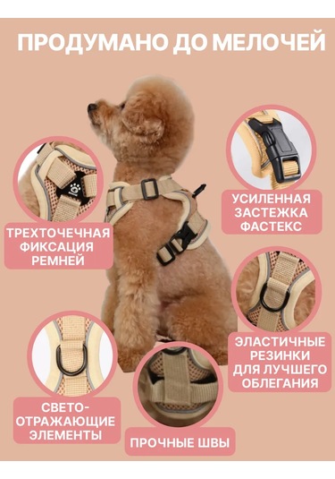 Tori Küçük Ve Orta Irklar İçin Tasmalı Köpek Kayışı Ve Kedi Şeridi 481285191